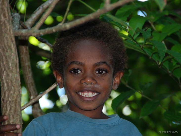 122- Enfant perche dans un arbre.JPG
